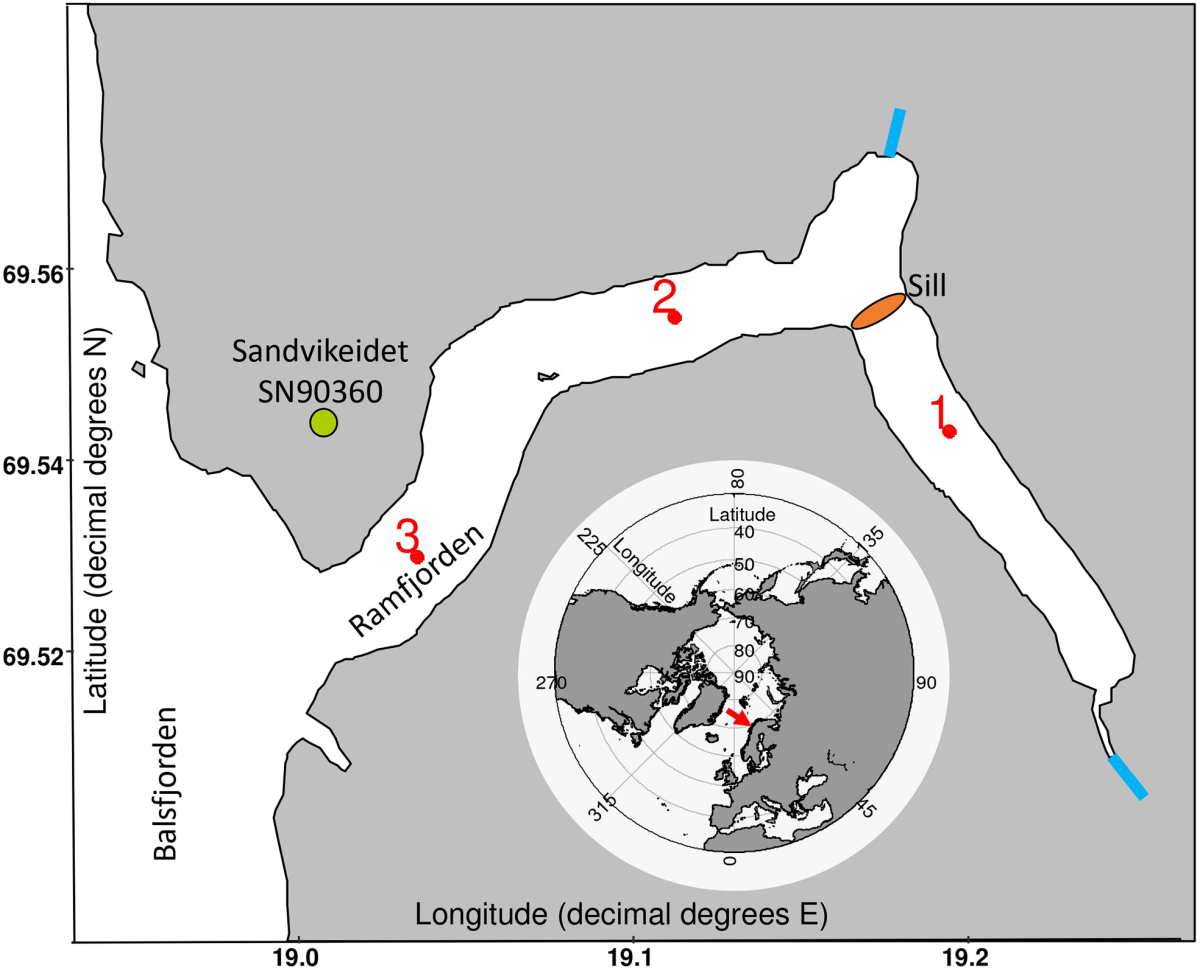 light-and-freshwater-discharge-drive-the-biogeochemistry-and-microbial